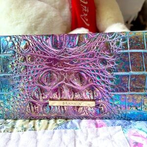 Brahmin Visionary Delphine Ady Wallet-BNWT